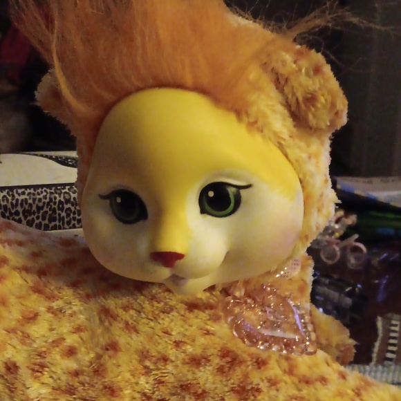 Kitten Surprise Cheetah Tabby - Picture 2 of 5